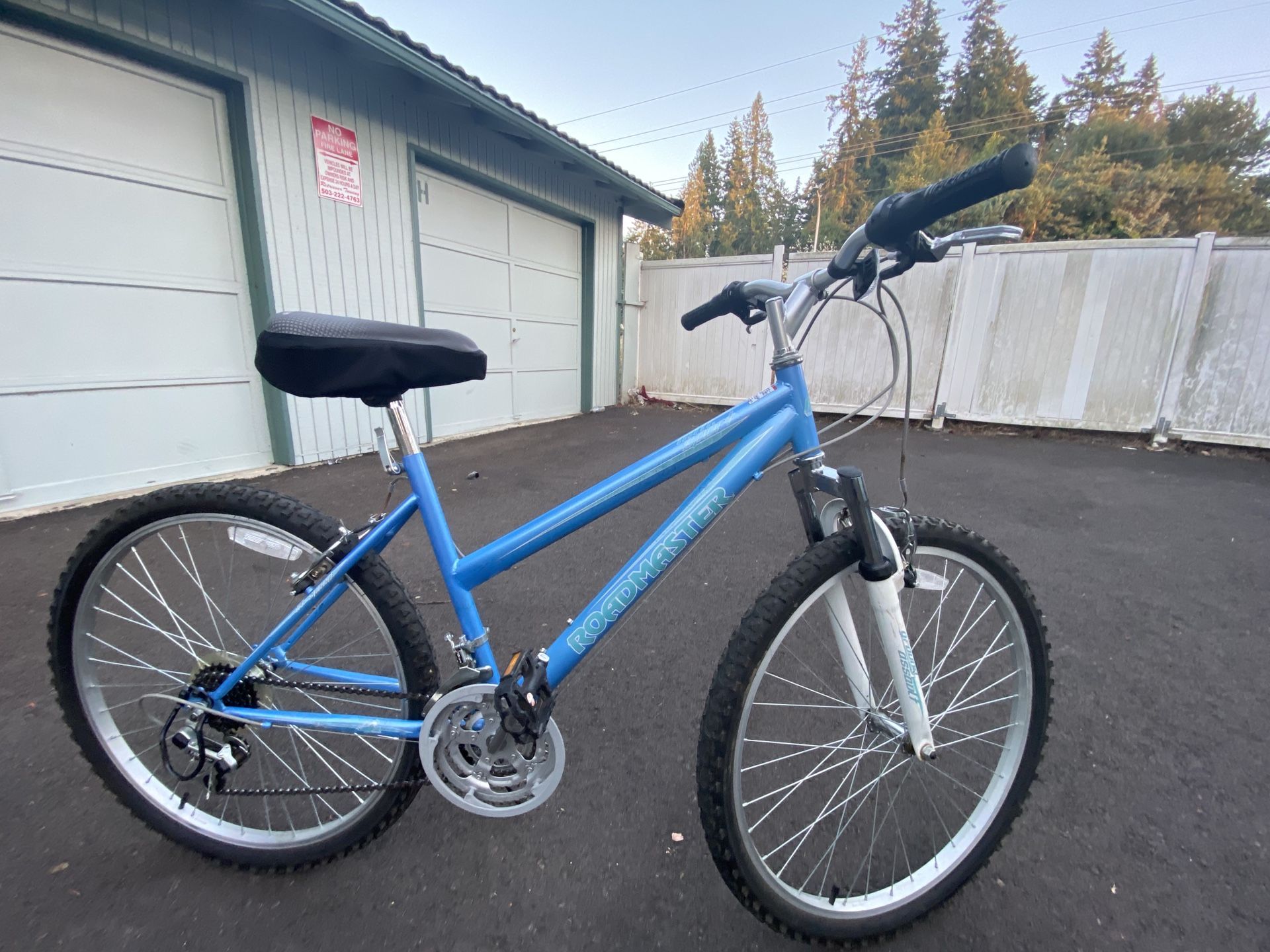 Road Master Women’s Bike