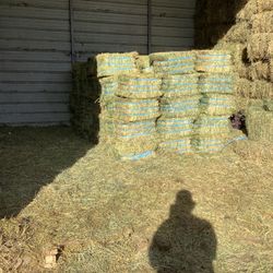 Hay