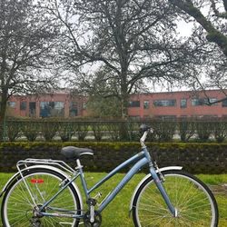 Infinity Boss Three 7-Speed Women’s Step Thru Hybrid Comfort Bike Aluminium Bicycle Commuter