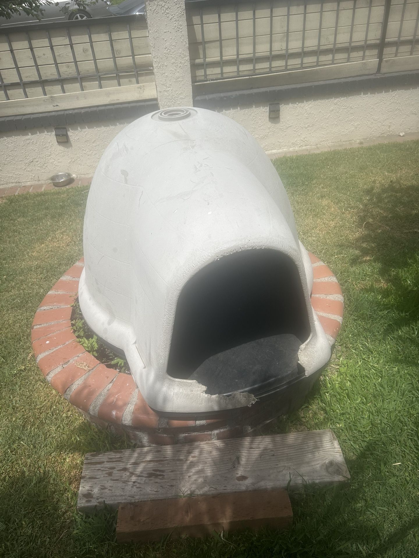 Dog House