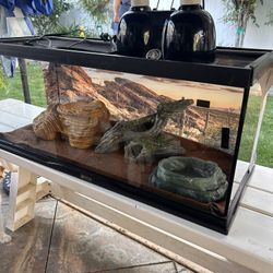 20 Gallon Tank 