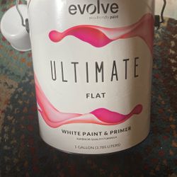 Paint Flat White Paint And Primer 