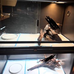 2 4x2x2 Reptile Tank Setups 