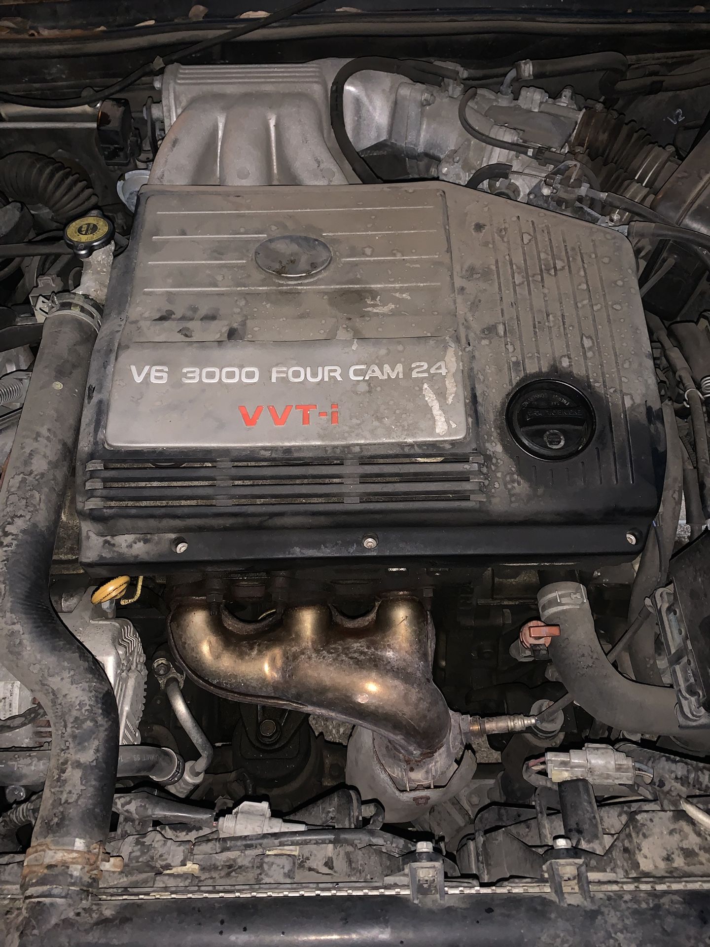 Dodge, Chevy Ford And More