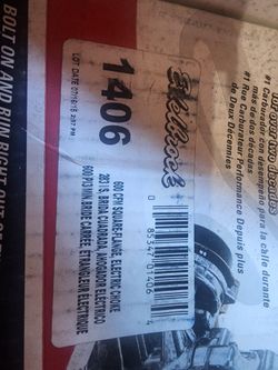 Carburetor Edelbrook 1406