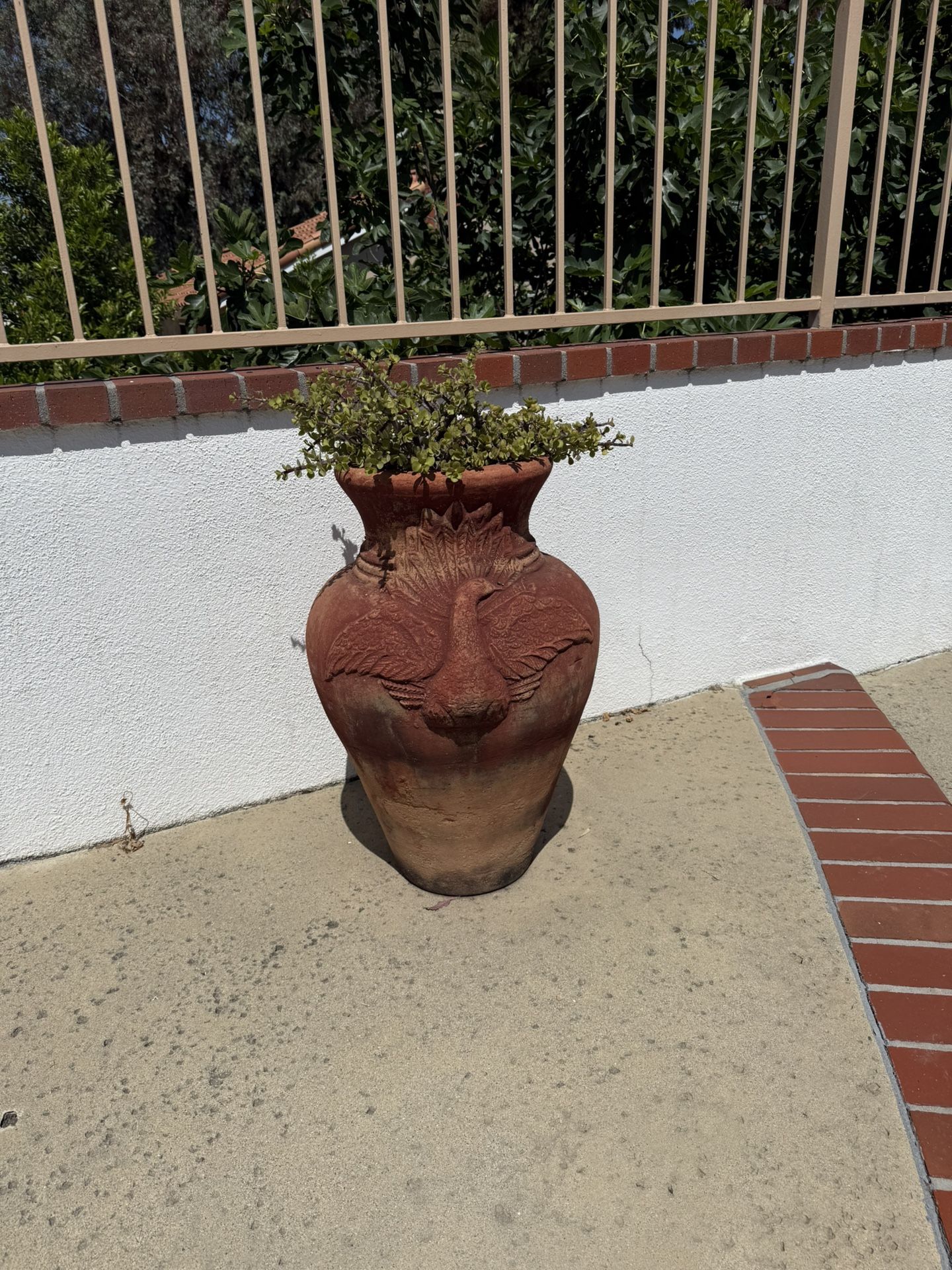 Flower Pots