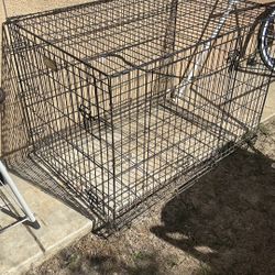 Cage and Dog house