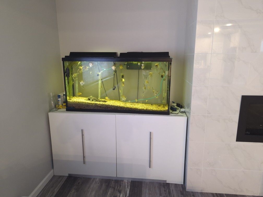 55 gallon aquarium with light, Bottom Filter And Stand 