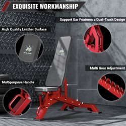 Adjustable Workout Bench