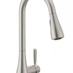 Doherty Single Handle Pull-Down Sprayer Kitchen Faucet