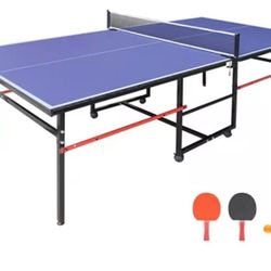 Ping Pong Table 