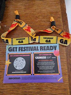 Bonnaroo