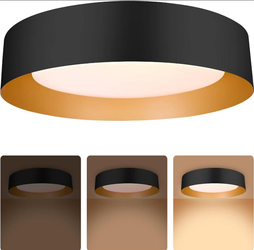 Bargeni 16.5 Inch LED Ceiling Light Fixture, Dimmable Flush Mount Matte Black With Gold