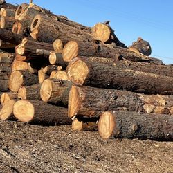 Firewood 🔥 
