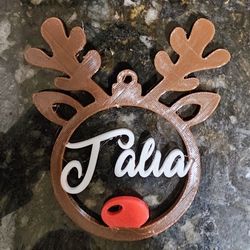 Customized Ornaments 
