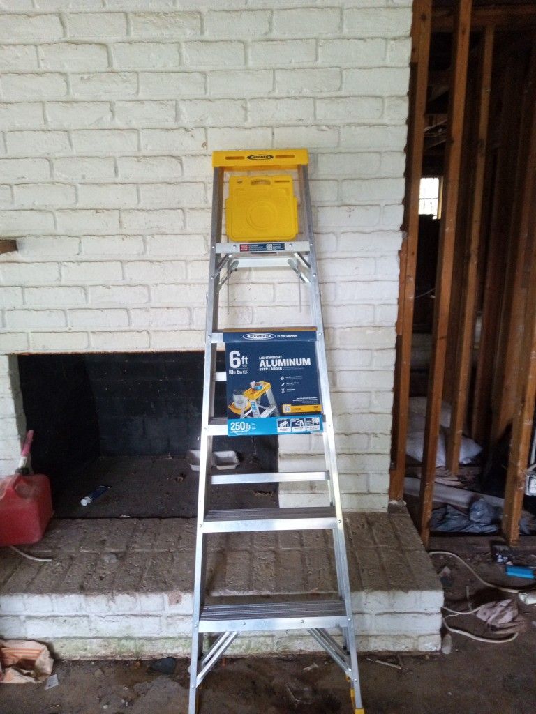 Werner 6 Ft Ladder