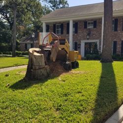 Stump grinding Stump grinding 