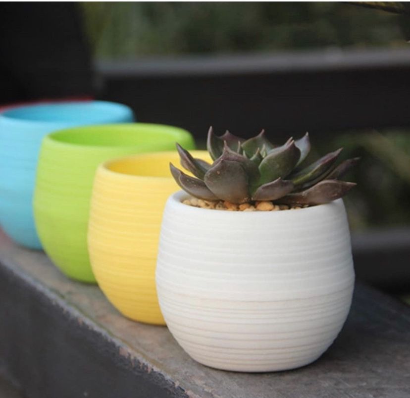 Plastic Planters,Mini Flower Pot Self Watering Planter,Indoor Flower Plant Pots Gardening Pot with Drainage 6pcs (6pcs, Multi (2.65x2.75 inch))