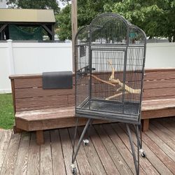 Big Bird Cage 