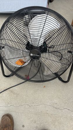 Fan