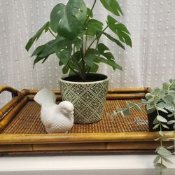 Vintage Rattan Tray For Sale