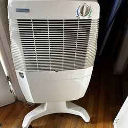 Air conditioner, fan