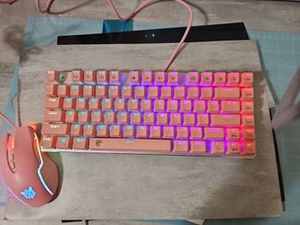 Keyboard & mouse