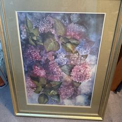 Hydrangea ‘s Large Picture