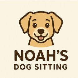 Dog Sitting 