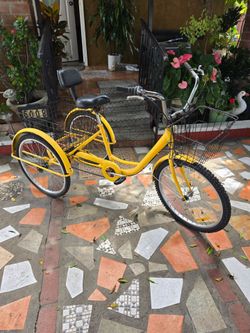 24" 7-Speed Tricycle