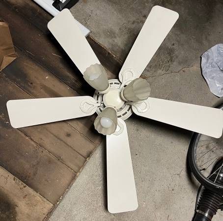 Diverse Fan