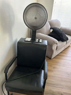 Salon Hair Dryer