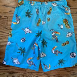 Boys swim trunks / Size  XL 14-16