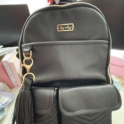 Itzy Ritzy Diaper Bag 