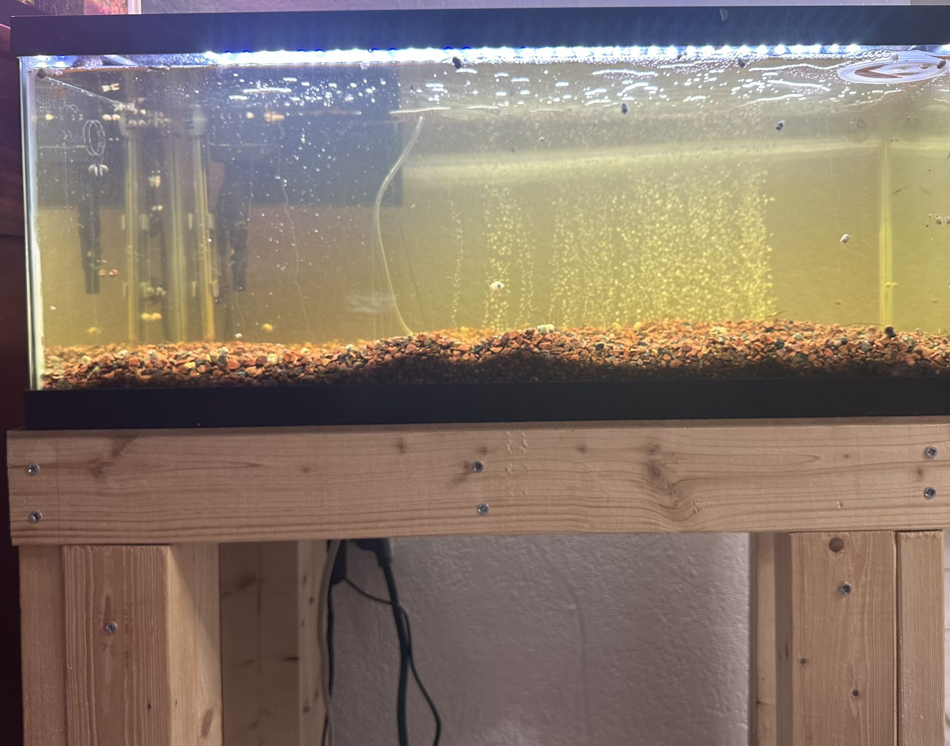 20 Gallon Fish Tank