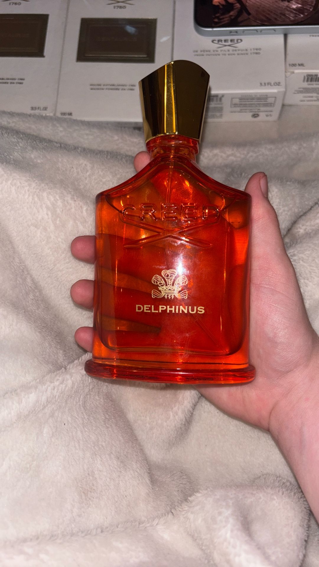 Brand New Creed Delphinus