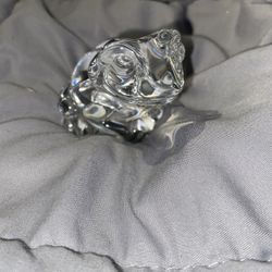 Genuine Crystal Frog