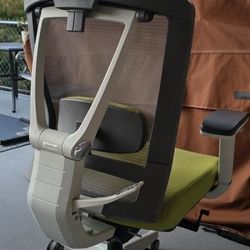 ErgoChair Pro AUTONOMOUS Ergonomic Offic Chair Lime Green & White