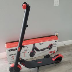 Segway Ninebot Electric Kick Scooter

