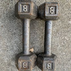 8 lbs hex dumbbells 