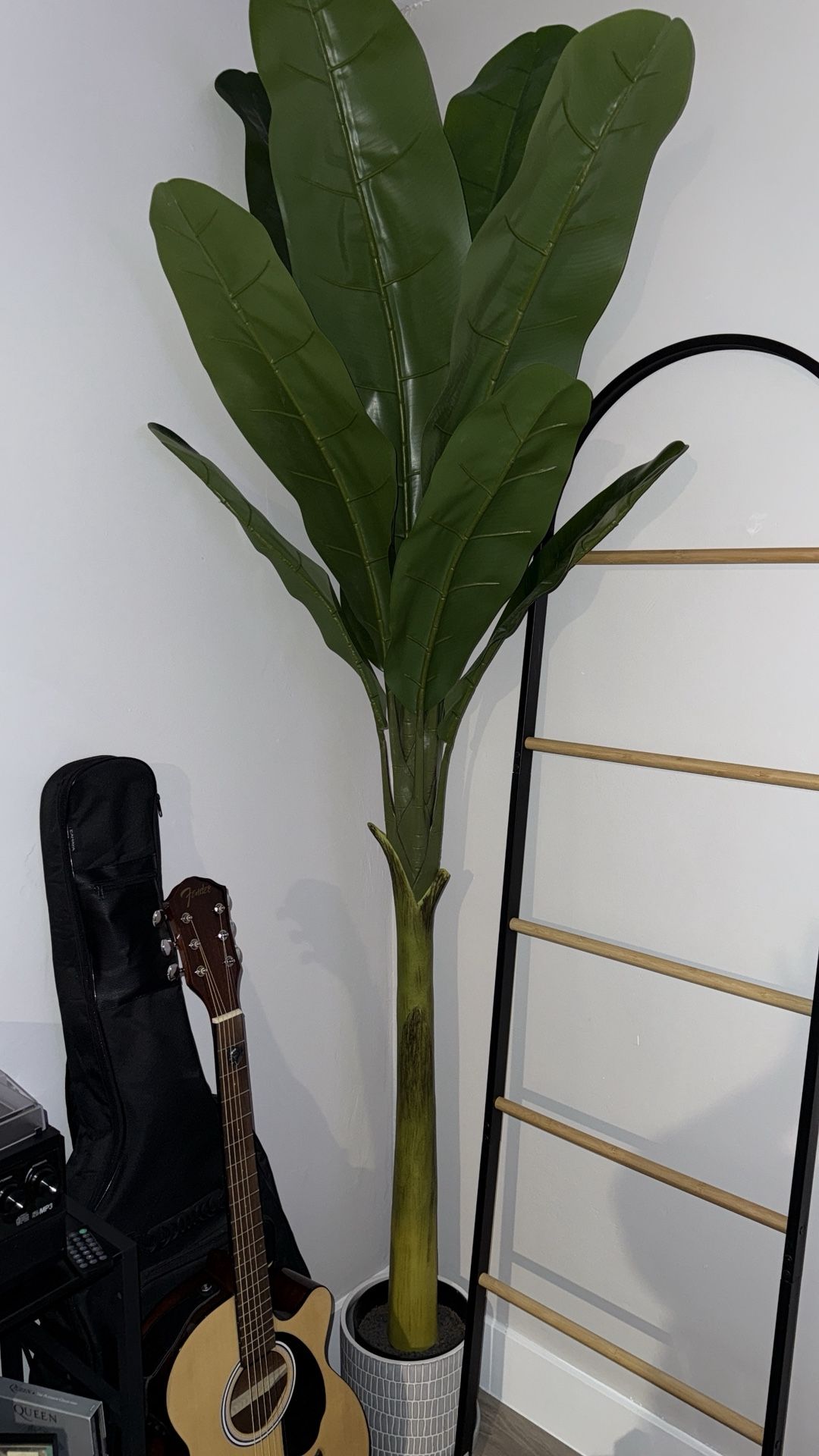 Plant With Pot