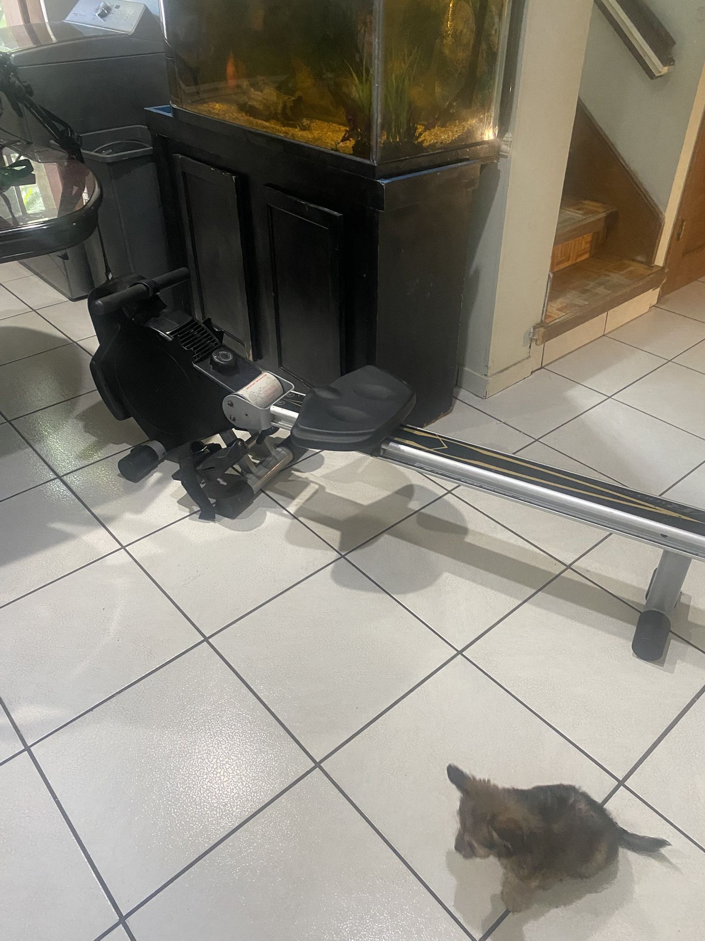Rowing Machine