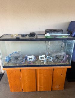 Aquarium For Sale