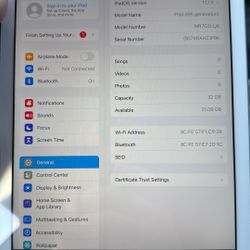 iPad 