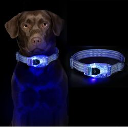 Brand new Rechargeable Light Up Dog Collars, Blue, Size L