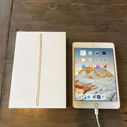 iPad Mini 4 WIFI 128GB