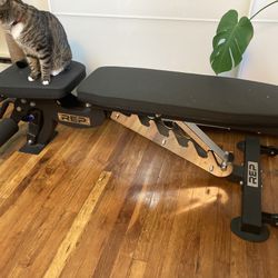 REP Fitness Weight Bench