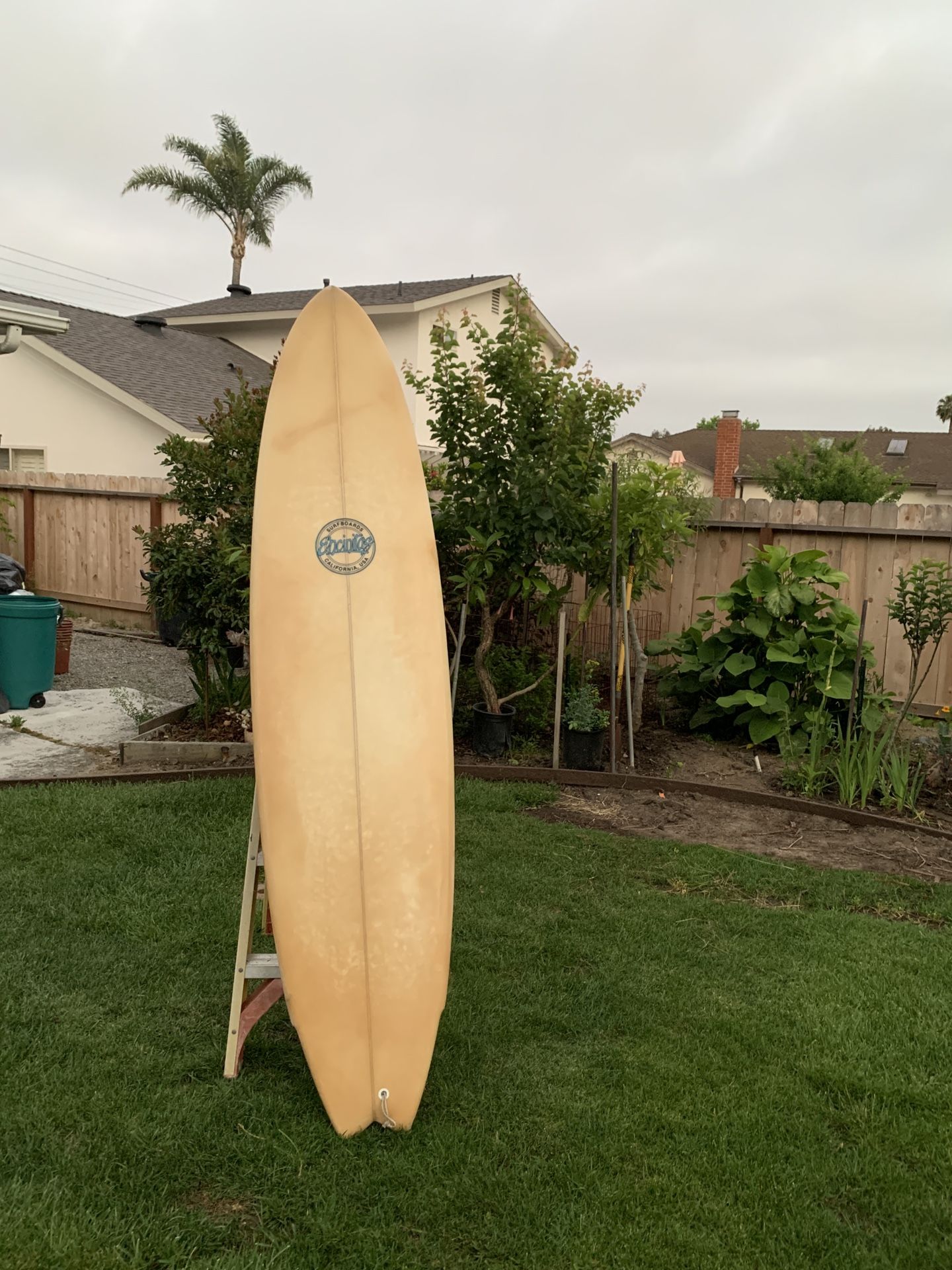 8'0" ENCINITAS SURFBOARD LONGBOARD/FISH BOARD,