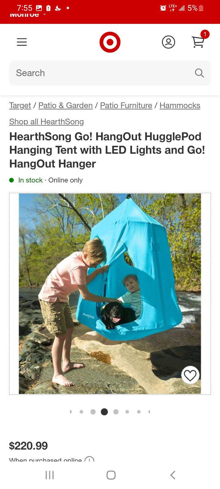 Hanging Tent With Light 