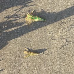 Dolphin/ Mahi-mahi Lure